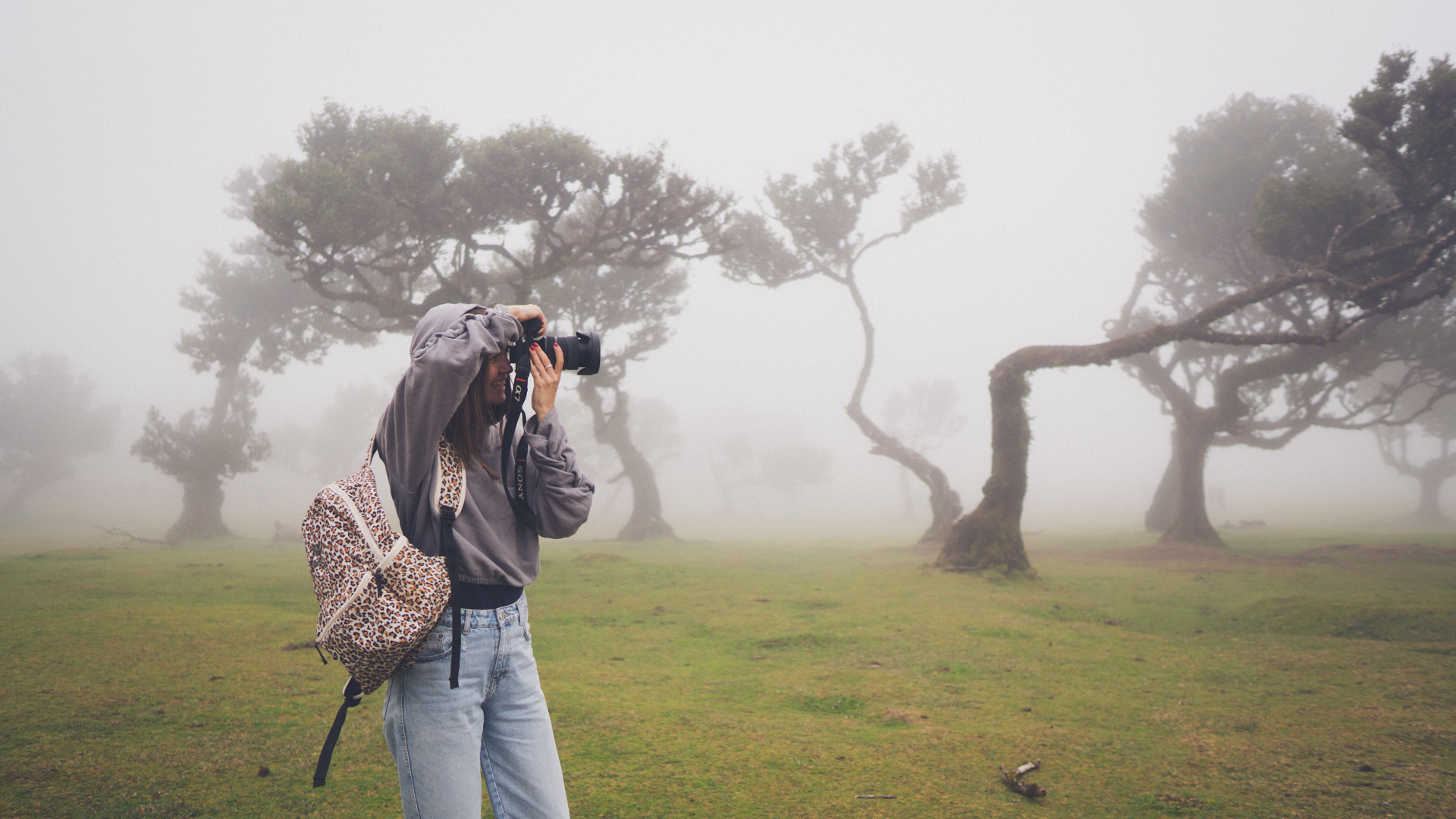 COMOON Creator Brief